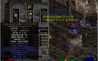  ,暗黑2纯招带什么佣兵？